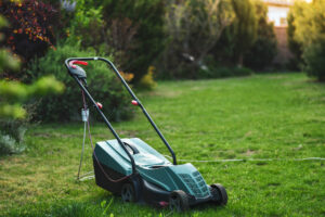 Best Lawn Mowers For Small Yard