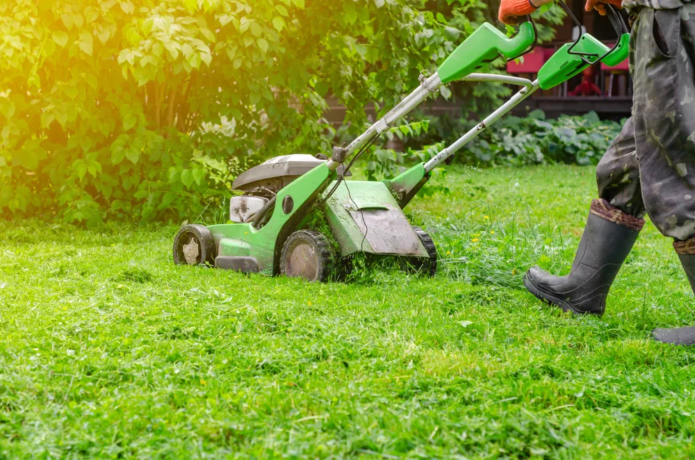 Best Petrol Lawn Mowers