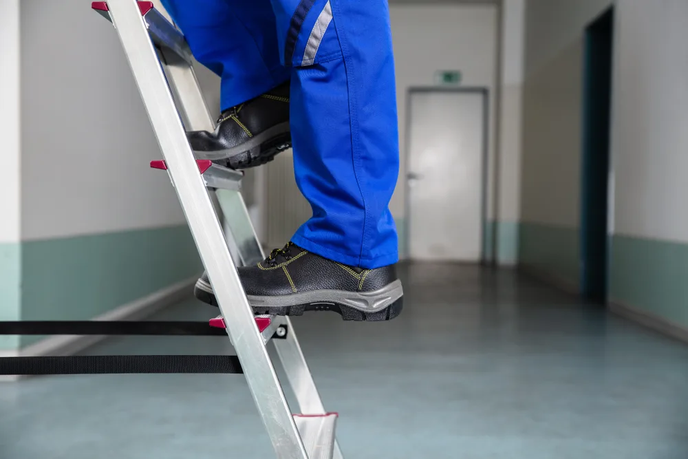Best Ladders for Home
