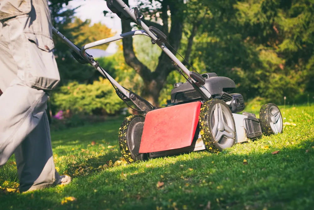 Best Mulching Lawn Mowers
