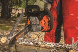 Best Cheap Chainsaws